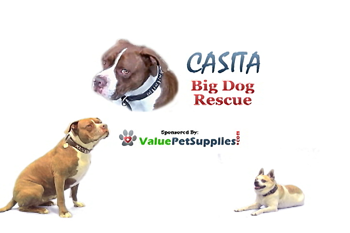 Casita Big Dog Rescue